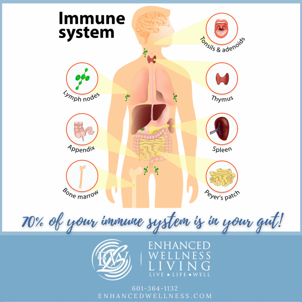 Immune Sytem Graphic